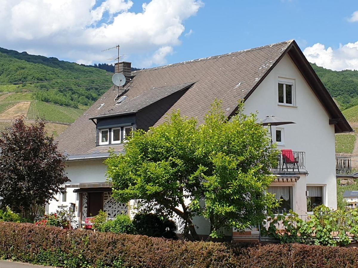 Schorn³ Apartment